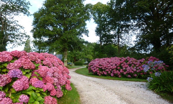 La Foret-Fouesnant Cottage | GARDEN FLOOR class 3* in park. Seaside.2 pers