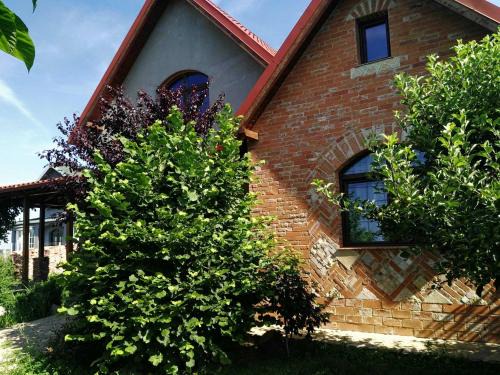Ciorogarla Villa | Garden House