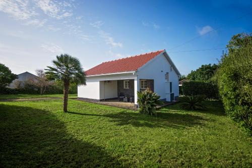 Capelo House | Garden Oasis