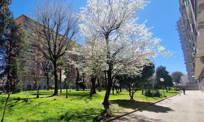 Binda Apartment | Garden on the Naviglio