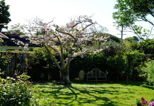 Otaki Apartment | Garden Retreat