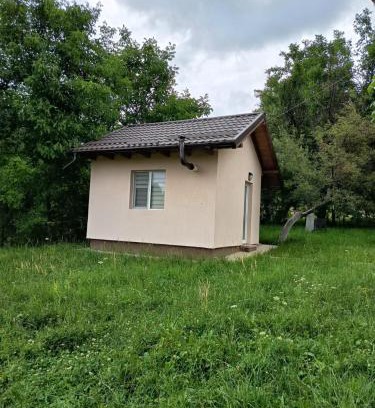 Valea Mare-Pravat House | Garden Tiny House
