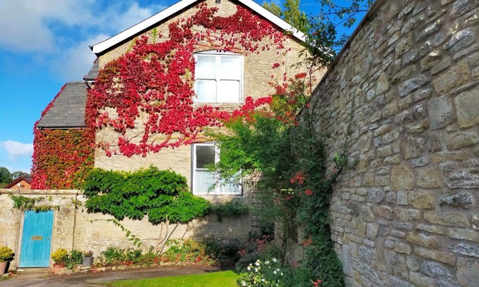 Kington Apartment | Garden View