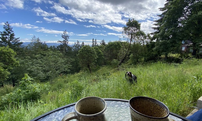 Salt Spring Island Cottage | Garden views and ocean glimpses, close to all that Saltspring offers.