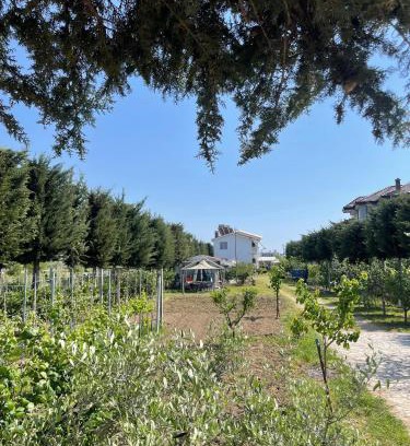 Sakës House | Garden Villa Sunny