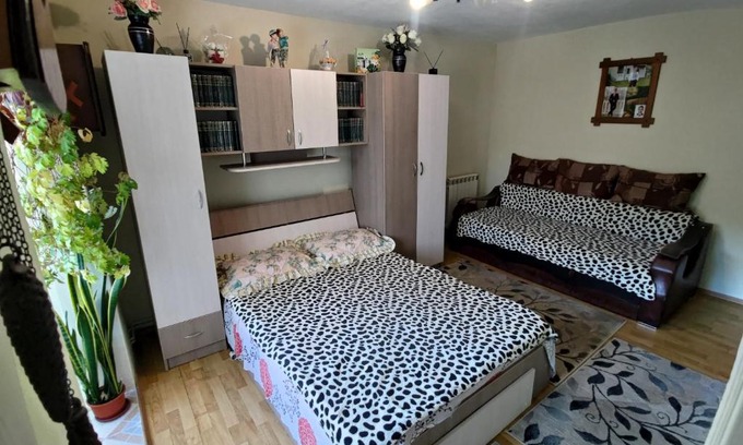 Prajila Apartment | Garsoniera Irene