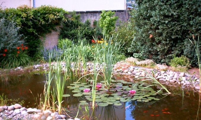 Nittel Bed & Breakfast | Gasthaus Dostert-Schmitt - Double room with shower/WC