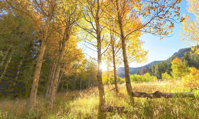Lake George RV Rental | Gaze at the stars from your bed in a unique dome!