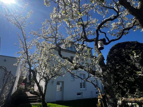 Besigheim House | Gemütlich wohnen über Besigheim