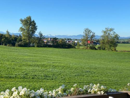 Wildpoldsried Apartment | Gemütliche Wohnung mit Ofen und Naturblick