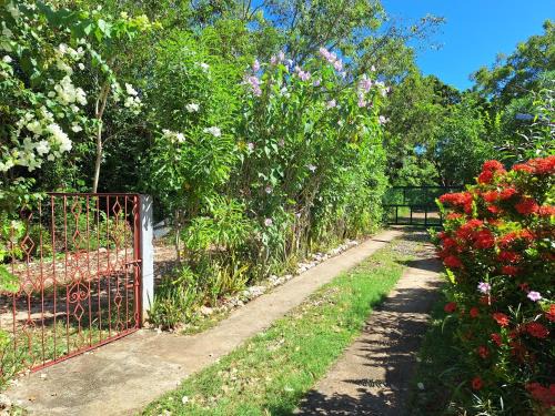 Maria House | Genevieve Guest House