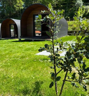 Rio Caldo Other | Gerês Wood Valley