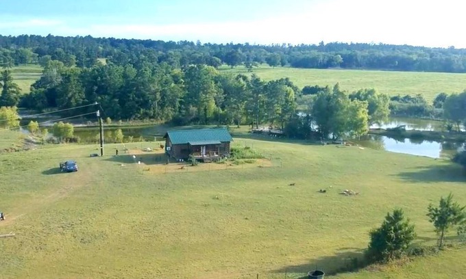 Huntsville Cabin | GETAWAY LOG CABIN with 2-ACRE POND FOR REST AND RELAXATION