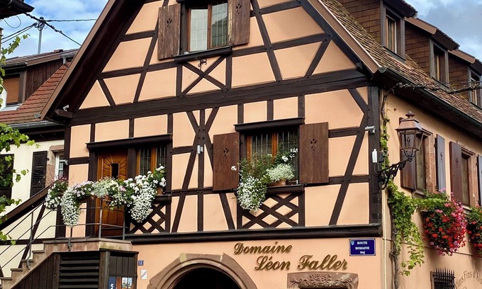 Itterswiller Apartment | GITE 3* ITTERSWILLER SUR LA ROUTE DES VINS D'ALSACE Swimming pool in 2026