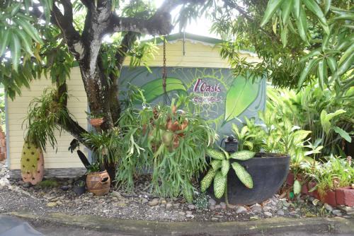 Le Moule House | Gite d'Arles Bungalow "L'Oasis"