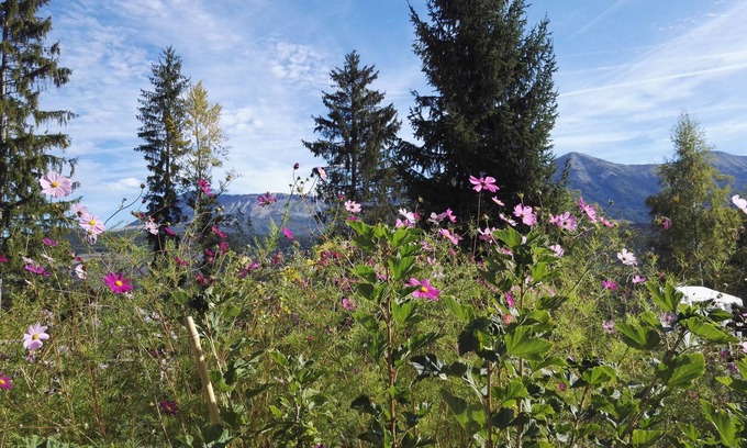 Seyne Cottage | Gîte for up to 12 people in the heart of nature