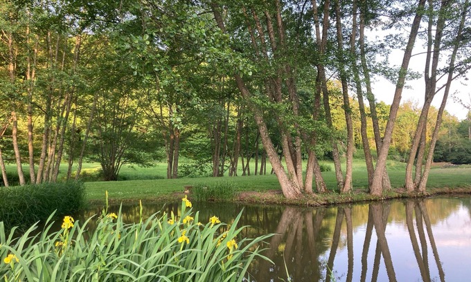 Montigny-Saint-Barthelemy House | Gîte in the middle of nature with river and wood views in the Morvan region of France