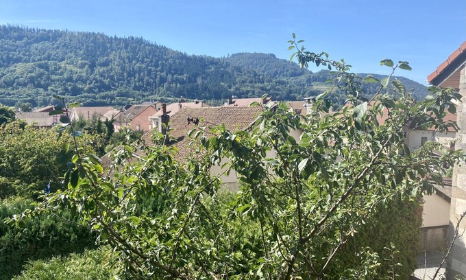 Rupt-sur-Moselle House | Gite LE Pt'it Rupt Refuge Cocooning