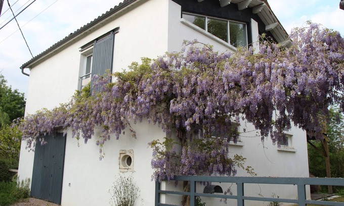La Greve-sur-Mignon House | Gite marais poitevin, loft style