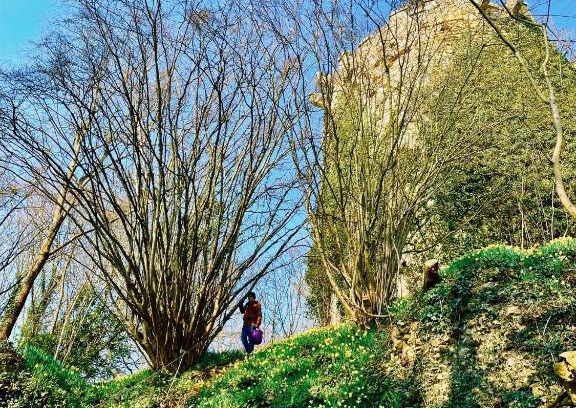 Tournebu House | Gite nadège à l Ombre d'une Tour