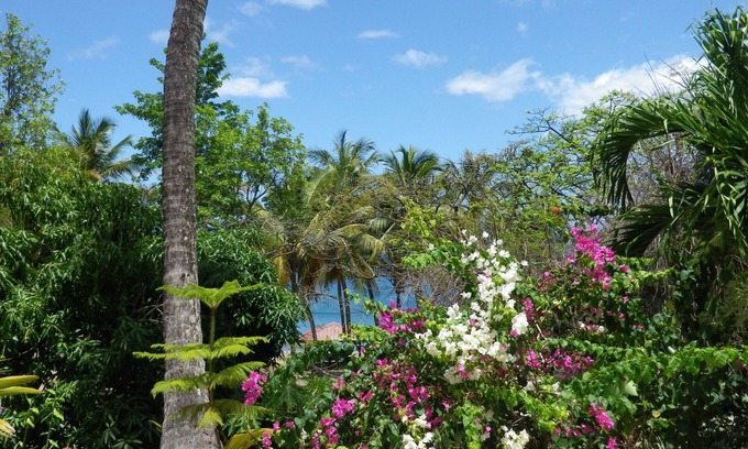 Pointe-Noire House | GITE TI SUCRIER - SEA VIEW - DIRECT BEACH ACCESS