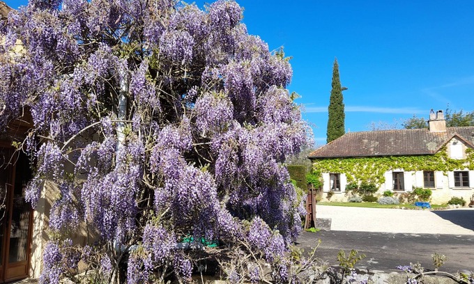 Marminiac Cottage | Gite Tout Confort Pour 7 Personnes Avec Terrasse et 2 Piscines,