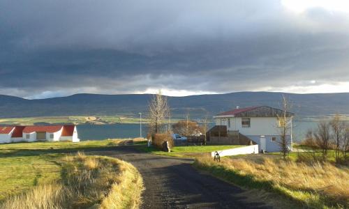 Akureyri House | Glæsibær 2 Guesthouse and horsefarm