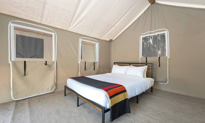Poudre Park House | Glamp 16- Purple Coneflower