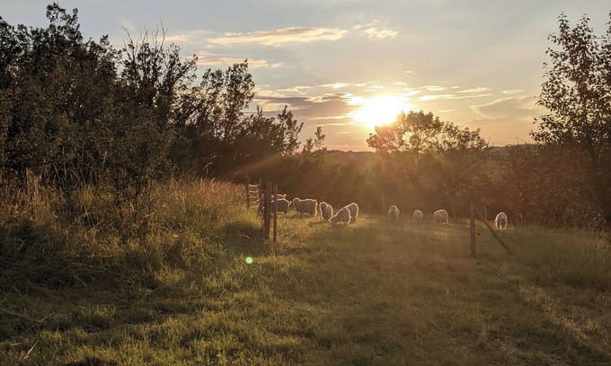Laval House | Glamping by Horizon Mohair, Espace Valériana!