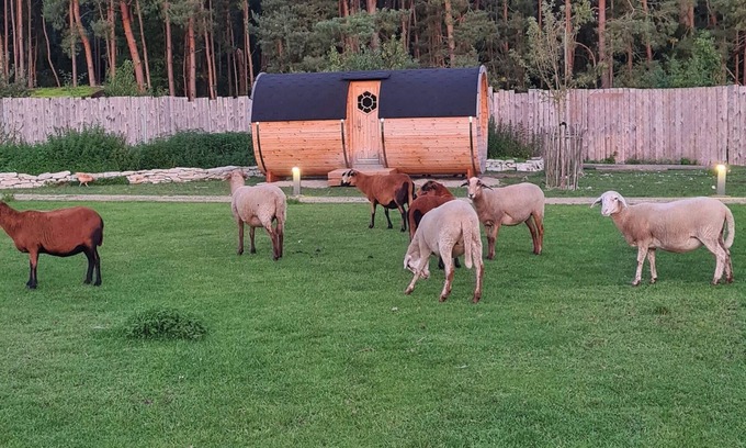 Fredersdorf Cabin | Glamping in a heated camping barrel at Leo's Farm