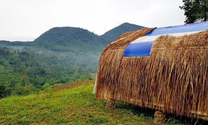 Pasirjambu Other | Glamping di Jungle, Ciwidey