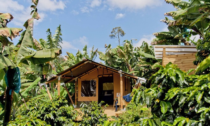 Jardin Other | Glamping Jardín