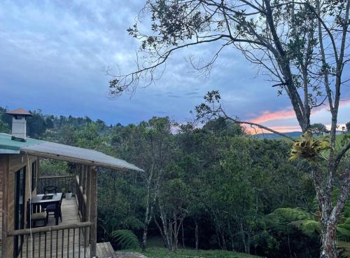 Guarne House | Glamping La Carlina