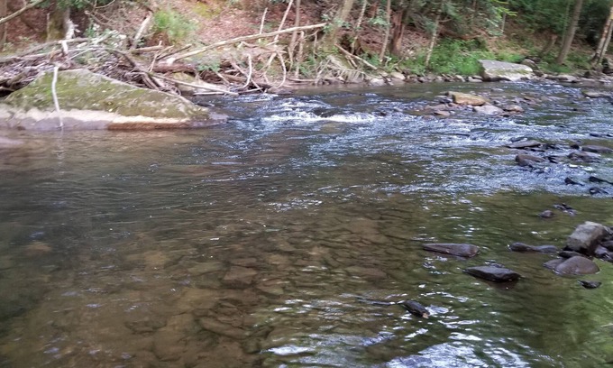 Helvetia RV Rental | Glarus - Riverside 36' RV, trout stream firepit