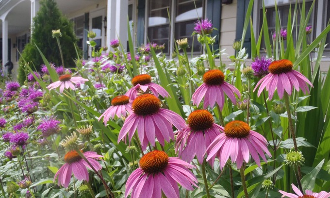 Erie Hotel | Glass House Inn Erie Near I-90 & I-79