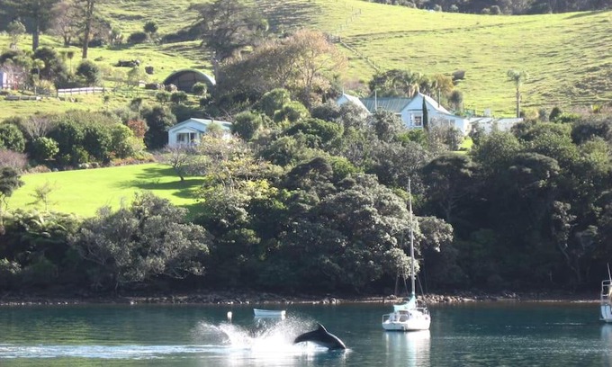 Port Fitzroy Cabin | Glenfern Sanctuary