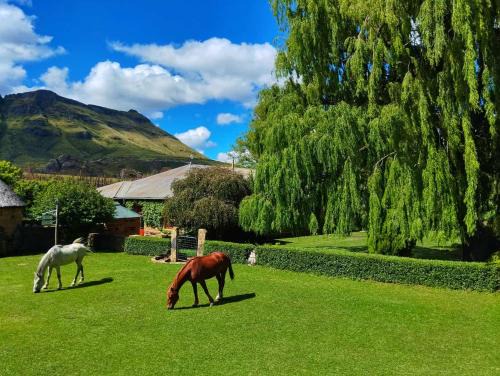 Senqu House | Glengyle Guest Farm