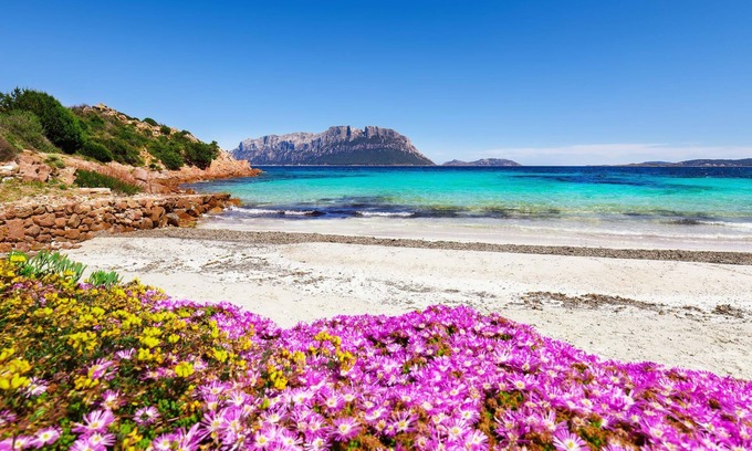 Olbia Apartment | Glori House 50m From Marina di Olbia