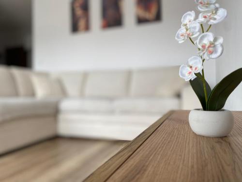 Orunia-St. Wojciech-Lipka Apartment | Go2Nati apartament