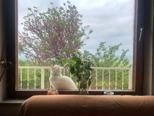 Popovac House | Goldberg - Apartman Lana
