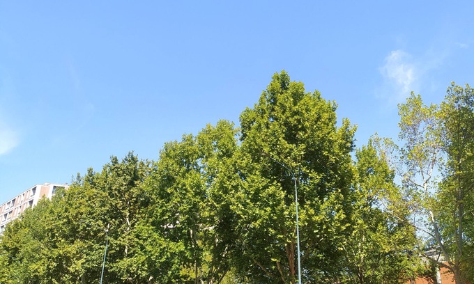 Santa Rita Apartment | GOLDEN BED Home - ATP TORINO