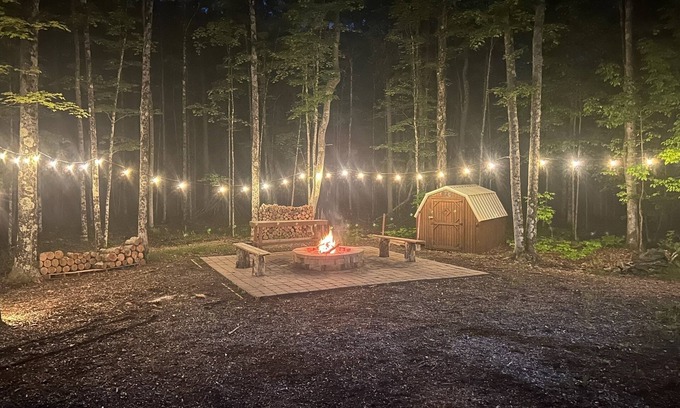 Thompsonville Cabin | Golf,fish,hike,kayak,ski,relax! Private 10 acres right on the Betsie River