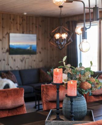 Kamben Apartment | Golsfjellet - Bualie, milevis med sykkelveier, fiske og vannaktivitet, ski inn/ut til alpinanlegg og langrennsløyper.
