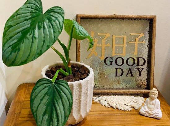 Yuli House | Good Days