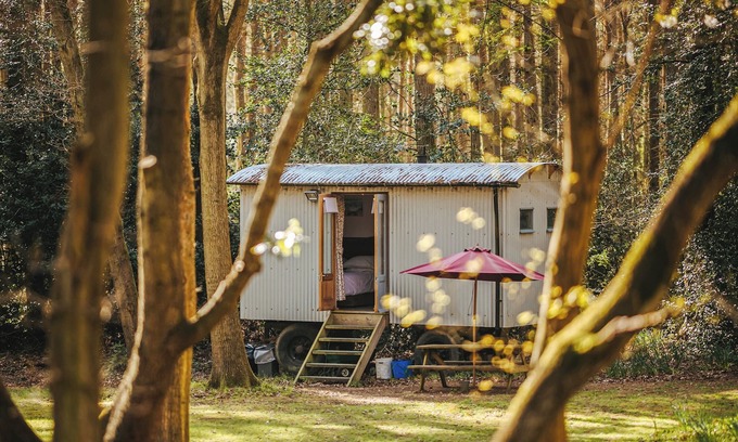 Melton Constable Cottage | Goosewing Hut-QU7072