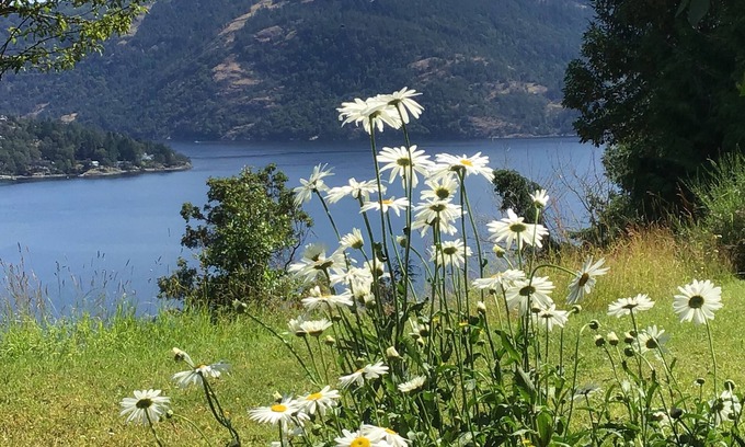 Maple Bay House | Gorgeous and private hillside view overlooking Maple Bay