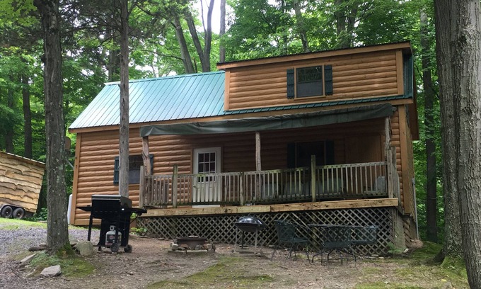 Trumansburg Cabin | Gorgeous cabin for on lakefront property!