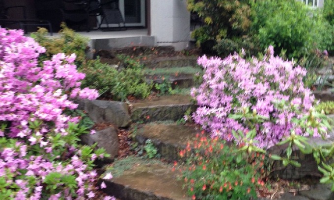 Saugerties House | Gorgeous Estate Offers 2 Bedroom Apartment.