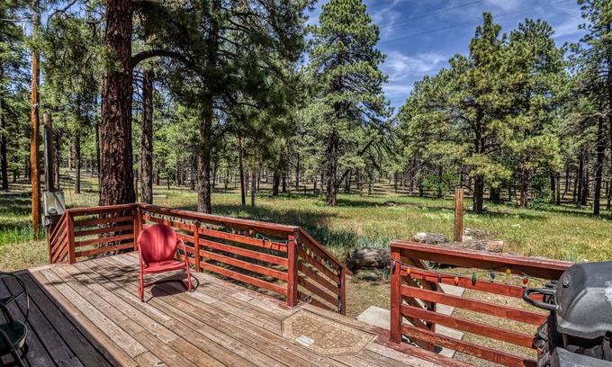 Parks House | Gorgeous & Historic 3 BR Log Cabin w/Forest Views /20 Minutes from Flagstaff/