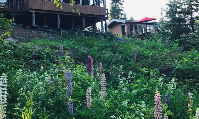 Northern Ontario Cabin | Gorgeous Lake of the Woods Cabin